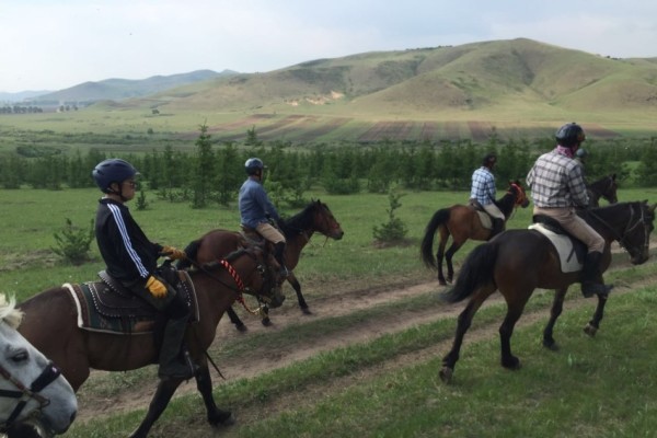 澳門特馬今晚開獎，探尋彩票背后的故事與期待，澳門特馬今晚開獎，探尋彩票背后的故事與期待之夜