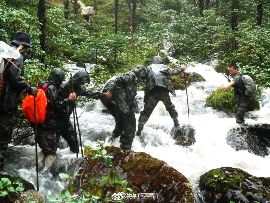 央廣軍事，權(quán)威軍事媒體的級別與影響力，央廣軍事，權(quán)威軍事媒體的級別與影響力概述