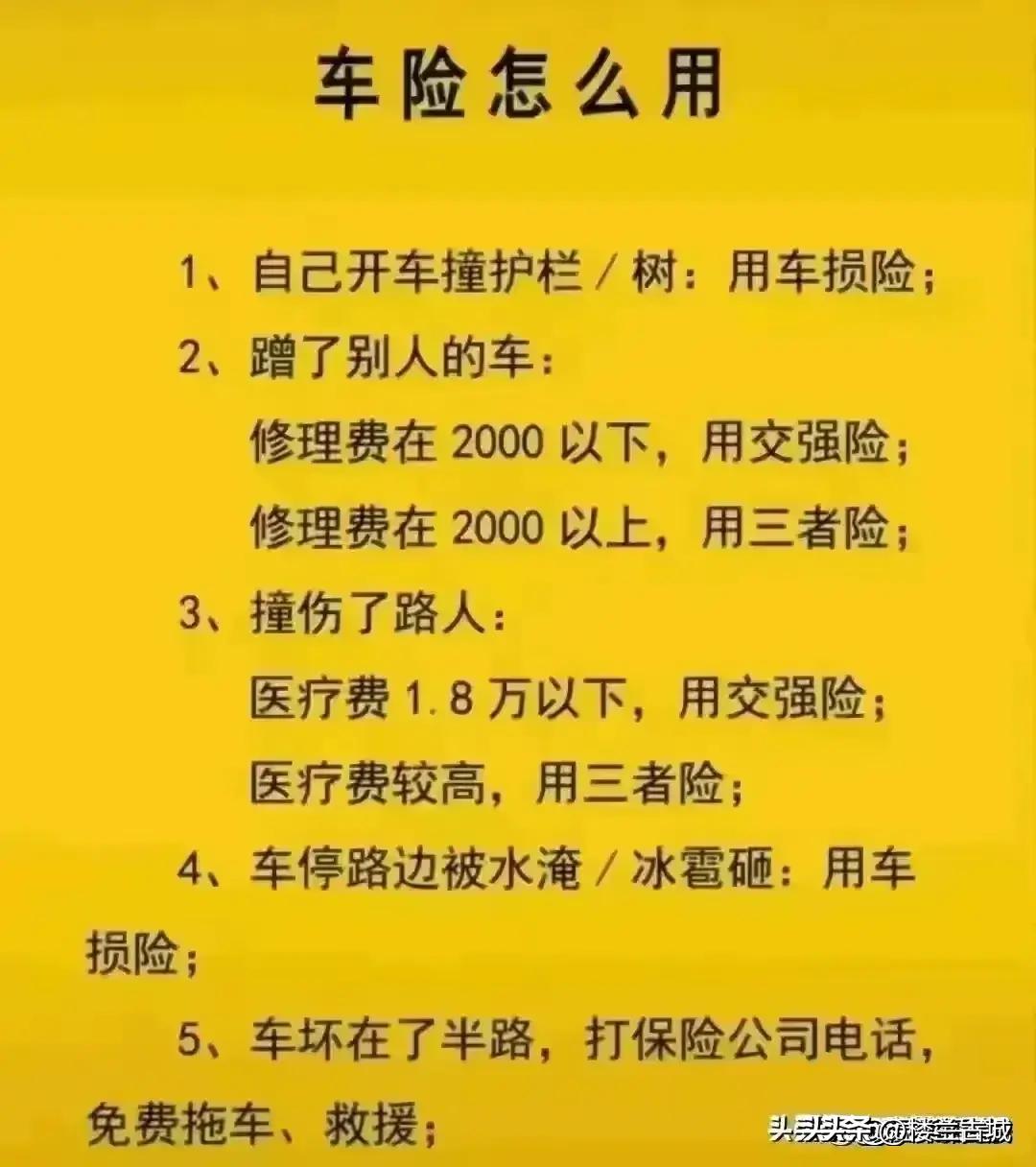 參考消息數(shù)字報，重塑新聞行業(yè)的數(shù)字化先鋒，重塑新聞行業(yè)先鋒，數(shù)字化引領(lǐng)下的參考消息數(shù)字報時代