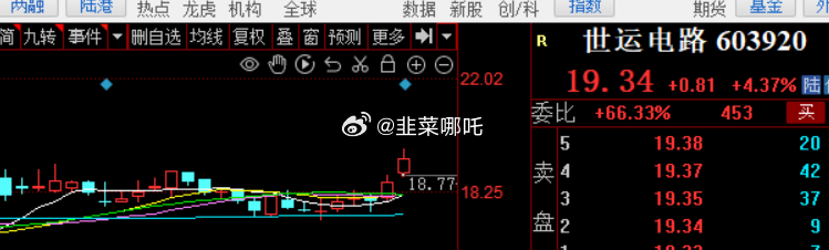 探索603920股票，市場趨勢、公司概況與投資策略，揭秘603920股票，市場趨勢、公司概況與最佳投資策略探索