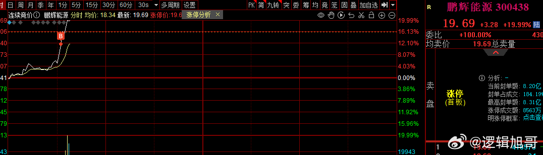 關(guān)于股票300438的全面解析，股票300438全方位深度解析