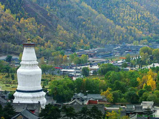 五臺(tái)山景區(qū)，歷史與自然共融的佛教圣地，五臺(tái)山景區(qū)，歷史與自然共融的佛教圣地之旅