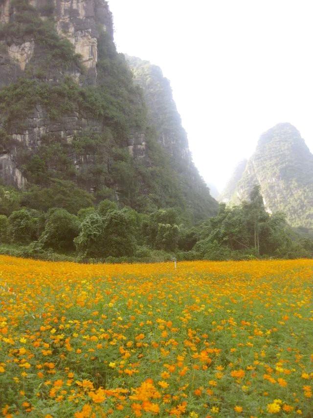 遇龍河漂流，一次難忘的水上冒險之旅，遇龍河漂流，難忘的水上冒險之旅體驗