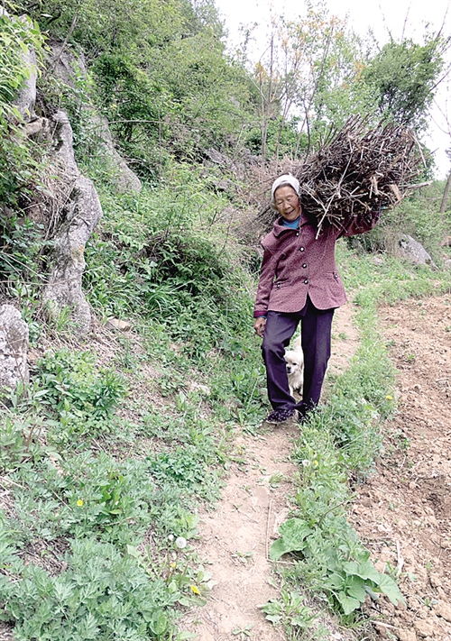 農(nóng)村中老年人征婚，尋找幸福晚年的新起點，農(nóng)村中老年征婚，晚年幸福的起點之路