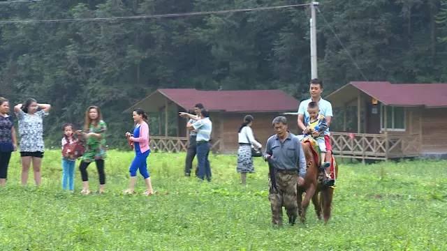 公益相親平臺(tái)，搭建愛(ài)的橋梁，助力幸福人生，公益相親平臺(tái)，搭建愛(ài)的橋梁，共創(chuàng)幸福人生之旅