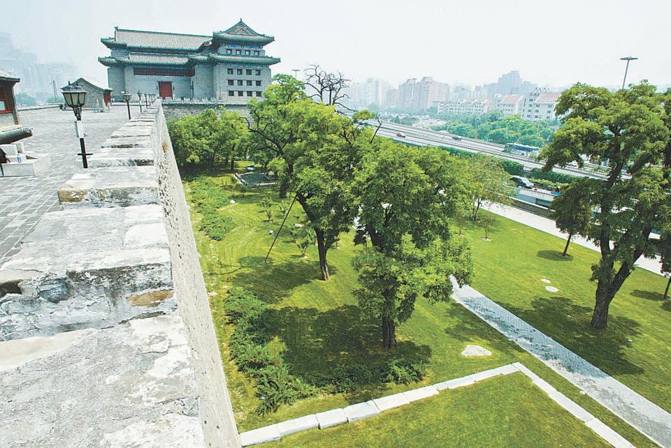 北京哪個(gè)公園最值得去，探尋城市綠肺的奧秘，探尋北京城市綠肺，哪個(gè)公園最值得一游？