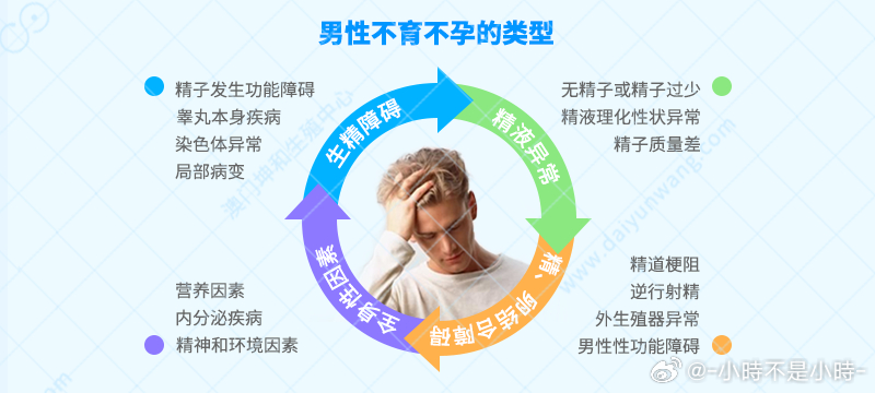 男性不育的原因及影響因素分析，男性不育的原因與影響因素深度解析