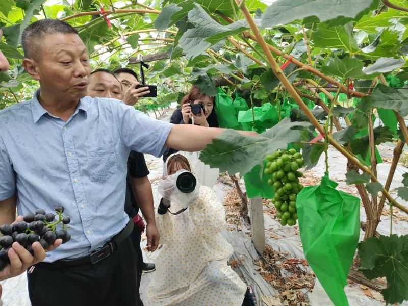 上海正規(guī)的相親網，連接真摯心靈的橋梁，上海正規(guī)相親網，真摯心靈的連接橋梁