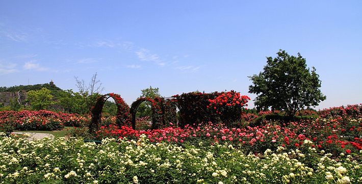 上海辰山植物園門(mén)票價(jià)格詳解，上海辰山植物園門(mén)票價(jià)格全解析