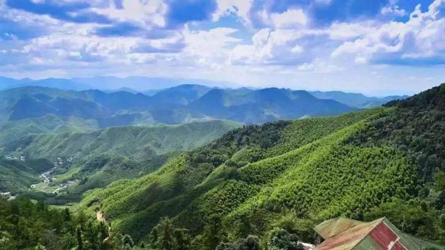 莫干山風景名勝區(qū)，自然與人文的絕美交融，莫干山風景名勝區(qū)，自然與人文的絕美交融之旅