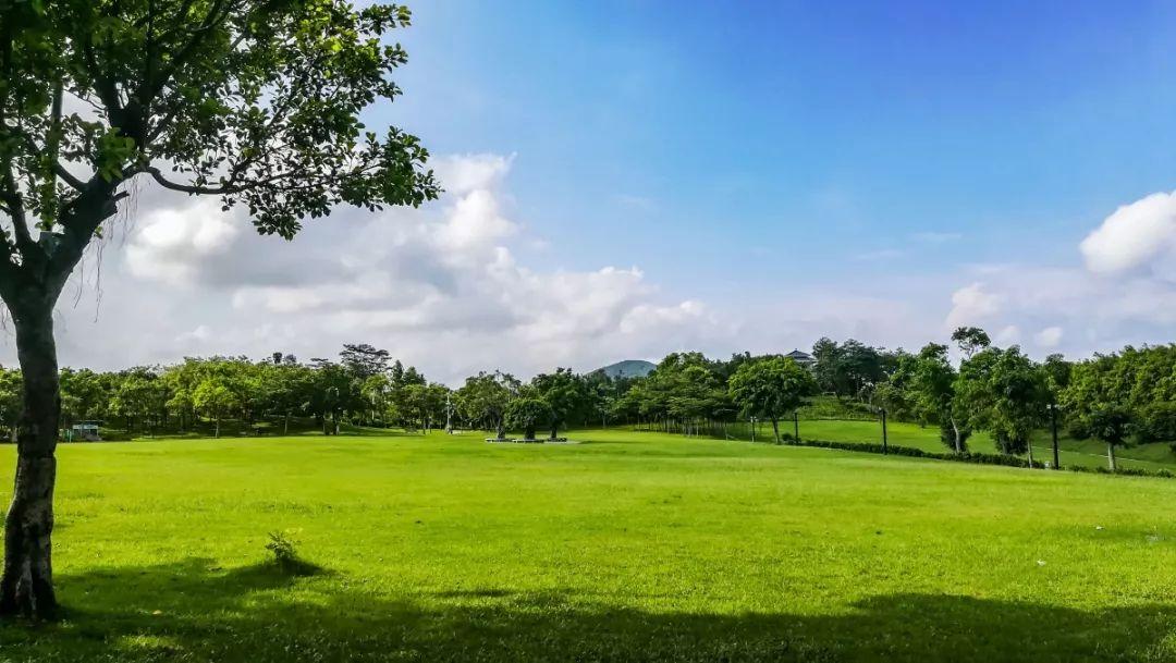 深圳免費景點，探索城市之美，深圳免費景點探秘，感受城市之美