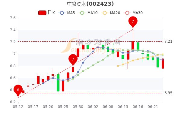 中糧股票（代碼，600030）行情深度解析，中糧股票（代碼，600030）行情深度解讀