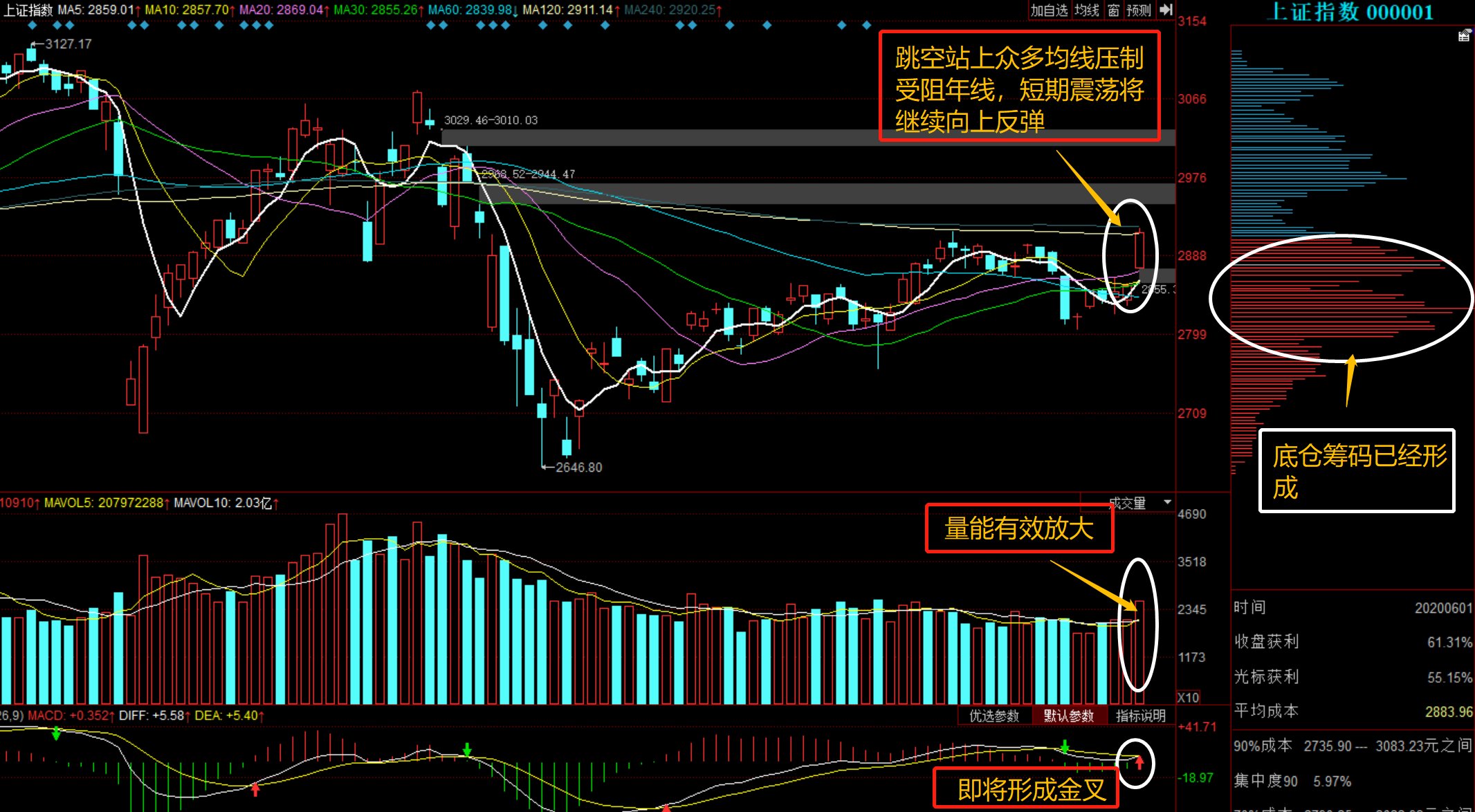 深度解析，601918股票行情，深度解析，股票行情解析與投資建議——以601918為例