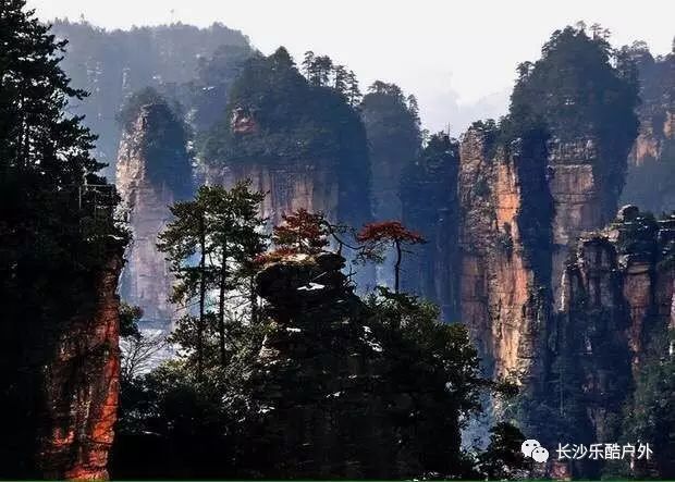 張家界景區(qū)內(nèi)住宿攻略，張家界景區(qū)內(nèi)住宿指南