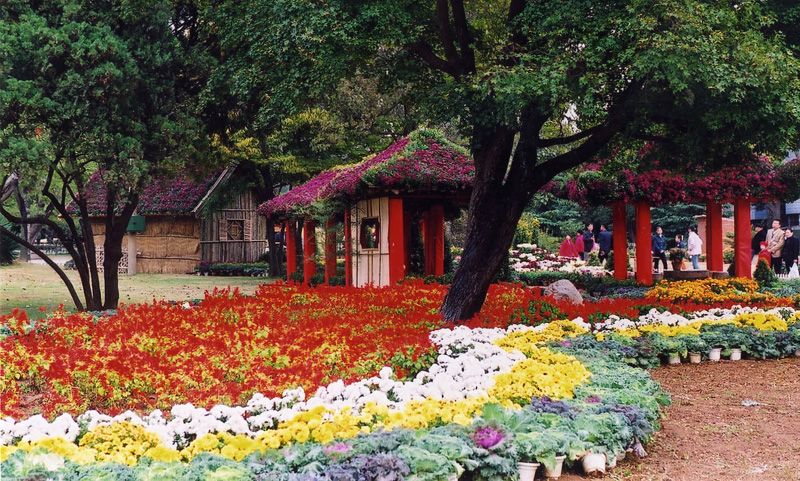 中山公園，歷史與自然的美好交織，中山公園，歷史與自然之美的交融勝地