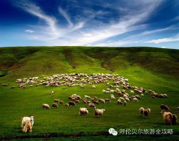 呼倫貝爾草原自由行旅游攻略，呼倫貝爾草原自由行全攻略，暢游草原之旅