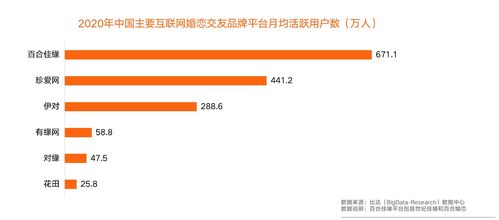 世界交友網(wǎng)站排名及其影響力分析，全球交友網(wǎng)站排名與影響力深度解析