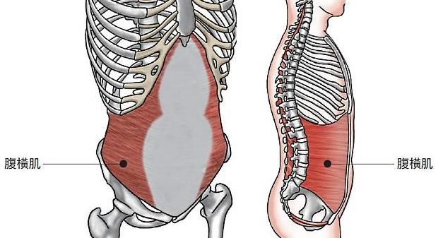 減腰腹贅肉的8個(gè)運(yùn)動(dòng)，減腰腹贅肉秘訣，8大運(yùn)動(dòng)助你告別贅肉困擾