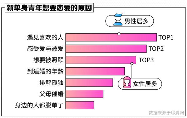 珍愛網(wǎng)最新版本下載安裝，探索與體驗(yàn)，珍愛網(wǎng)最新版本下載，探索與體驗(yàn)之旅