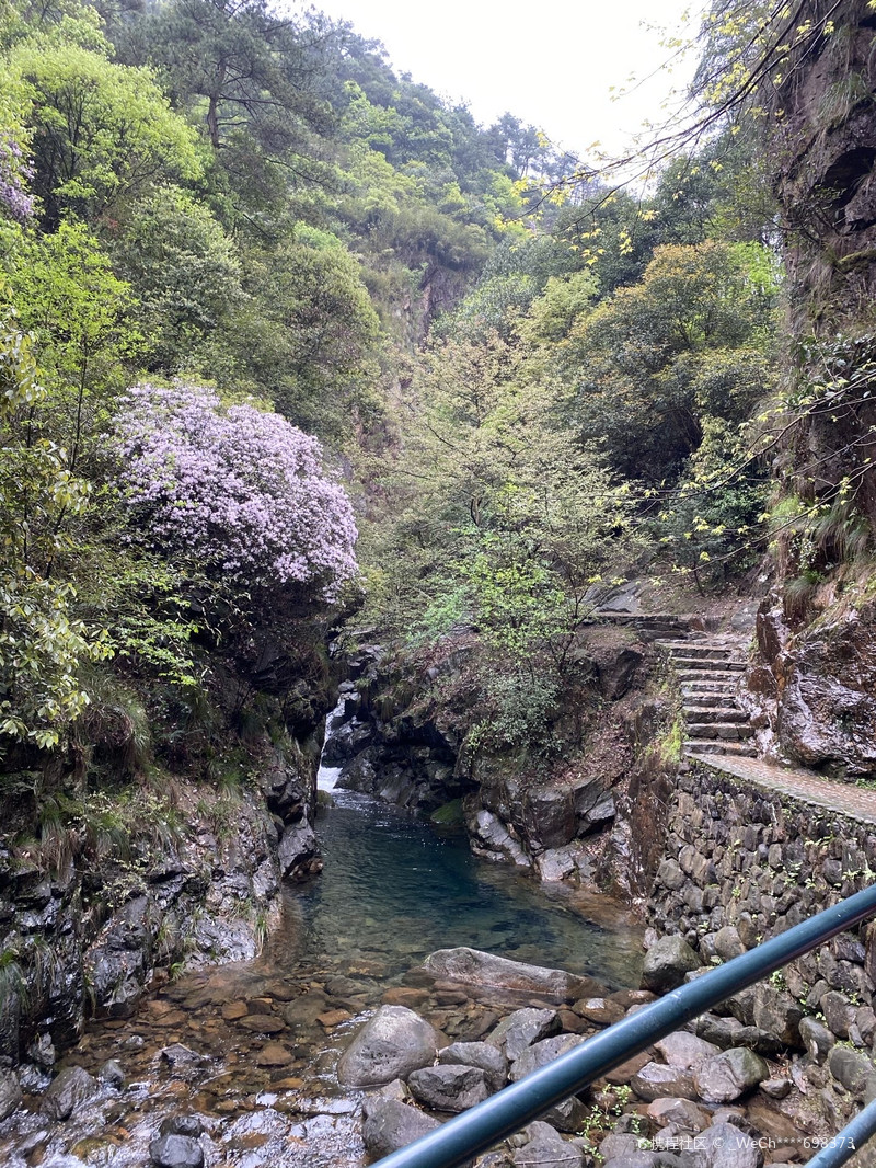 大奇山國(guó)家森林公園，自然之韻，生態(tài)之旅，大奇山國(guó)家森林公園，自然生態(tài)之旅的絕美韻味