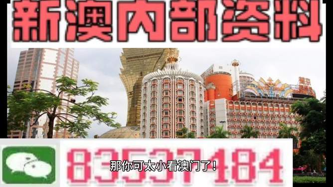 澳門內(nèi)部資料精準大全2023，揭示違法犯罪風險與應對之策，澳門內(nèi)部資料精準大全揭秘，違法犯罪風險與應對策略（2023版）