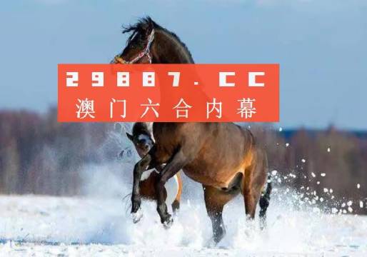 澳門一一碼一特一中準(zhǔn)選今晚，探索與預(yù)測，澳門今晚一特一中準(zhǔn)選碼探索與預(yù)測