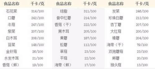 制定減肥方案制定表，邁向健康生活的第一步，制定減肥方案表，邁向健康生活的第一步