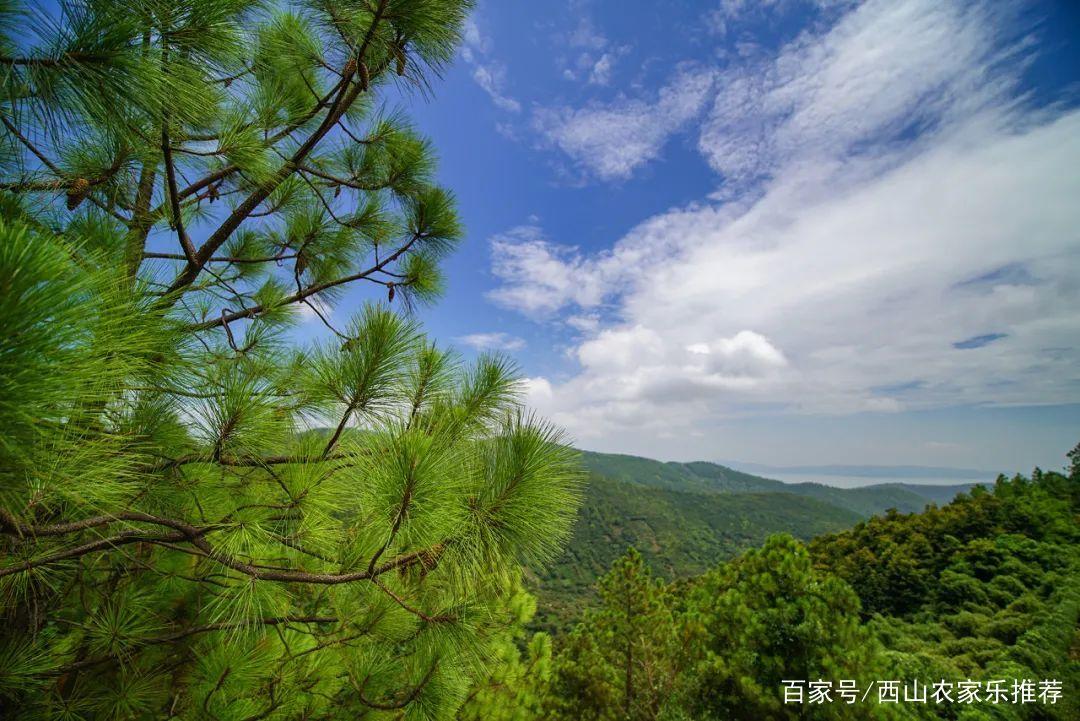 蘇州西山風景區(qū)，自然與文化的完美融合，蘇州西山風景區(qū)，自然與文化交融的絕美勝境