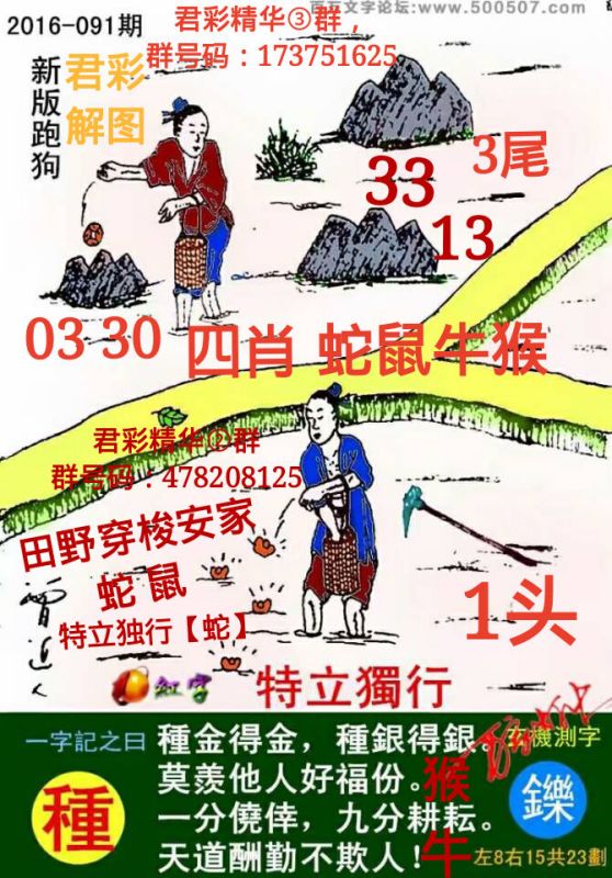 探索精準(zhǔn)跑狗圖，77777與88888的神秘結(jié)合，揭秘精準(zhǔn)跑狗圖，神秘結(jié)合77777與88888的奧秘探索