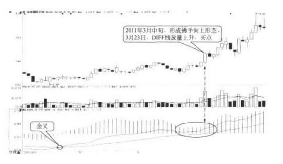 華電國(guó)際分紅，解析與洞察，華電國(guó)際分紅解析與洞察報(bào)告