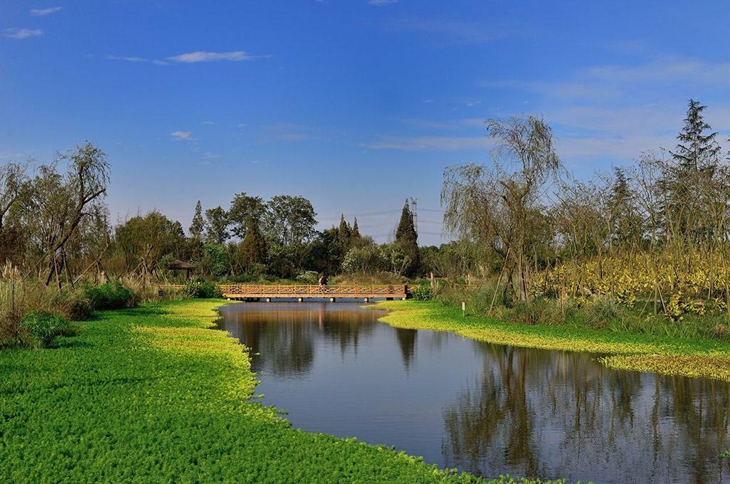 濕地公園景點(diǎn)介紹，濕地公園景點(diǎn)探秘，自然美景一覽無余