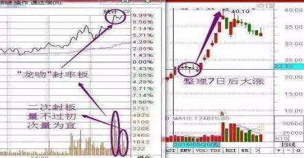 探索股市之路，深度解析千股千評(píng)中的代碼002782，深度解析股市之路，千股千評(píng)中的代碼002782探索之旅