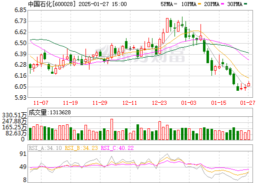 中國石化600028股票，深度解析與前景展望，中國石化600028股票深度解析與未來前景展望