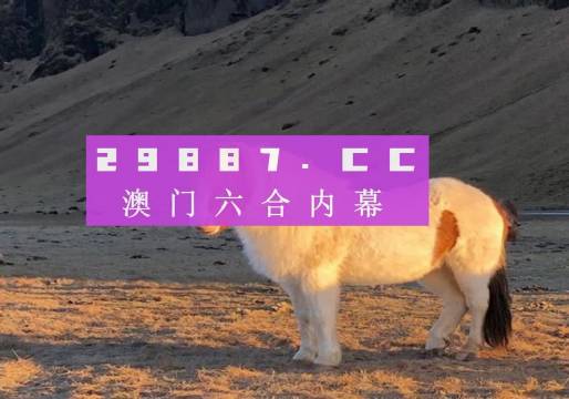 澳門彩開獎最快的一期，探索彩票背后的秘密，澳門彩票開獎探索，揭秘最新一期背后的秘密