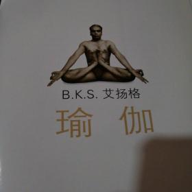 艾楊格瑜伽，一種深度探索身心平衡的藝術(shù)，艾楊格瑜伽，探索身心平衡的藝術(shù)之道