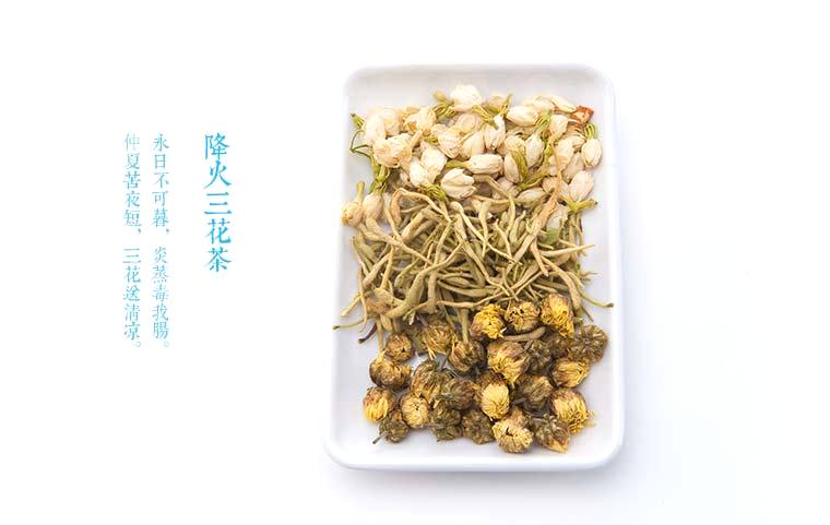 菊內(nèi)留香與金銀花的魅力，菊內(nèi)留香與金銀花，魅力綻放的雙重魅力