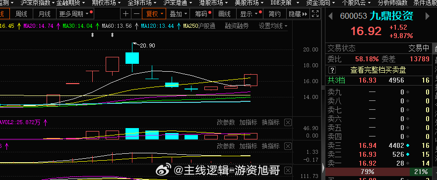 股票600053，深度解析與前景展望，股票600053深度解析及前景展望