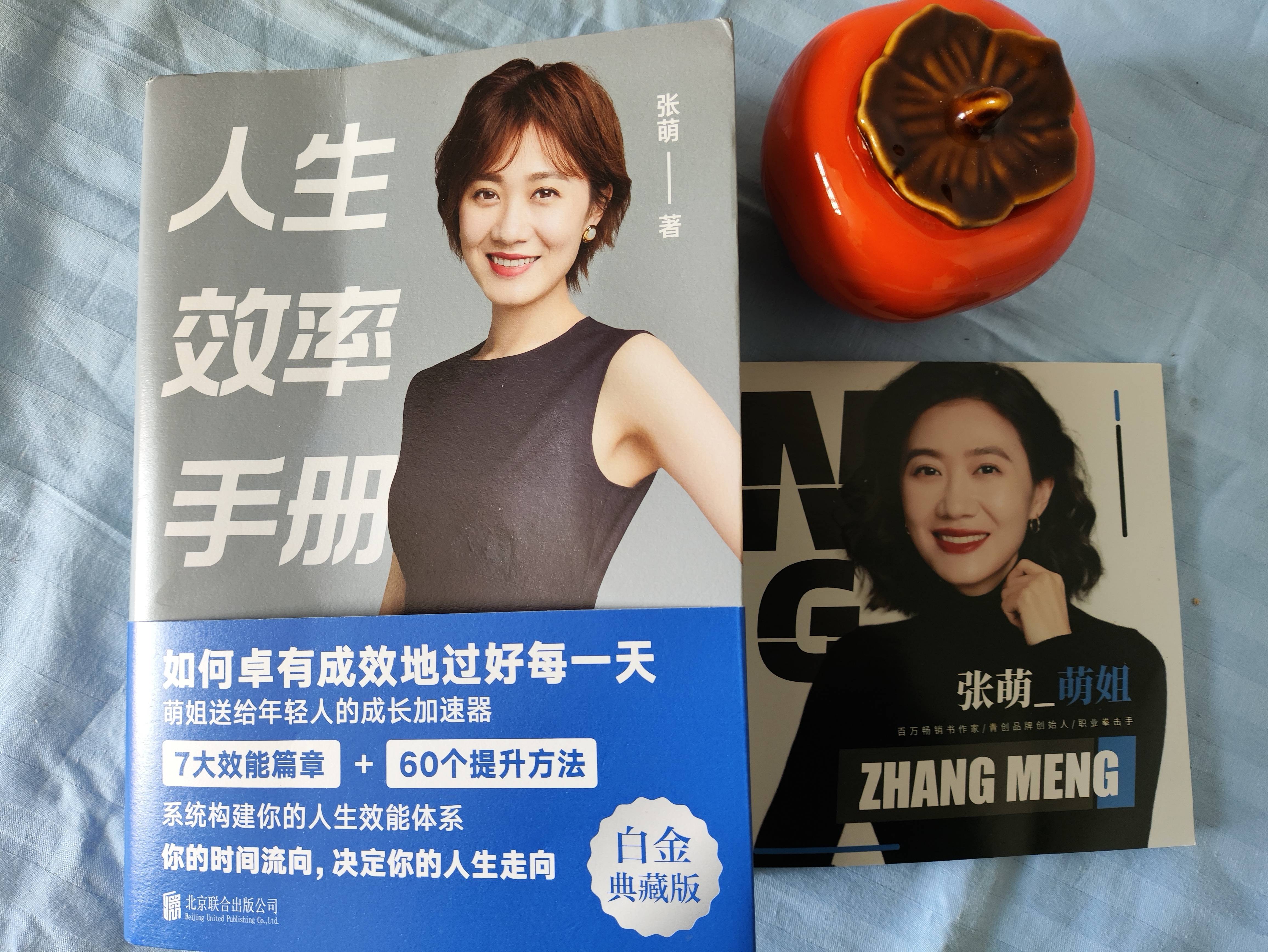 張萌人生效率手冊個人資料深度解析，張萌人生效率手冊個人資料深度解析與啟示