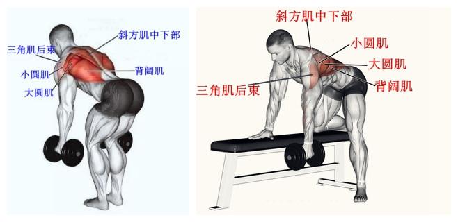 啞鈴鍛煉視頻，引領(lǐng)你走向健康與力量的指南，啞鈴鍛煉指南，走向健康與力量的必經(jīng)之路視頻教學(xué)版