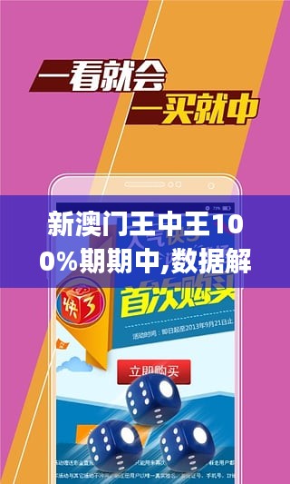 新澳門王中王期期中的奧秘與探索，澳門王中王期期奧秘揭秘與深度探索