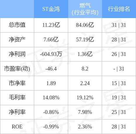 ST金鴻股票股吧，深度解析與前景展望，ST金鴻股票股吧深度解析及前景展望