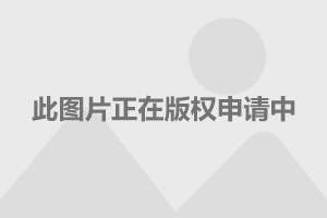 上海人民廣場相親角時間，探尋現(xiàn)代都市的婚戀角落，上海人民廣場相親角時間，探尋現(xiàn)代婚戀角落的奧秘