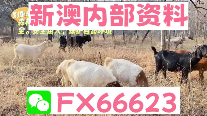 新澳2025今晚開獎資料四不像，深度解析與預(yù)測分析，新澳2025今晚開獎資料解析與預(yù)測，四不像現(xiàn)象深度探討