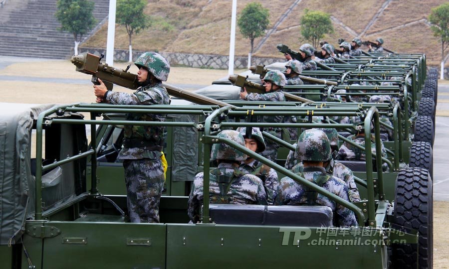 防空兵所屬兵種類別及其重要角色，防空兵所屬兵種類別與重要角色解析