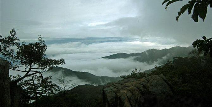 天目山景區(qū)門票價格詳解，天目山景區(qū)門票價格全面解析