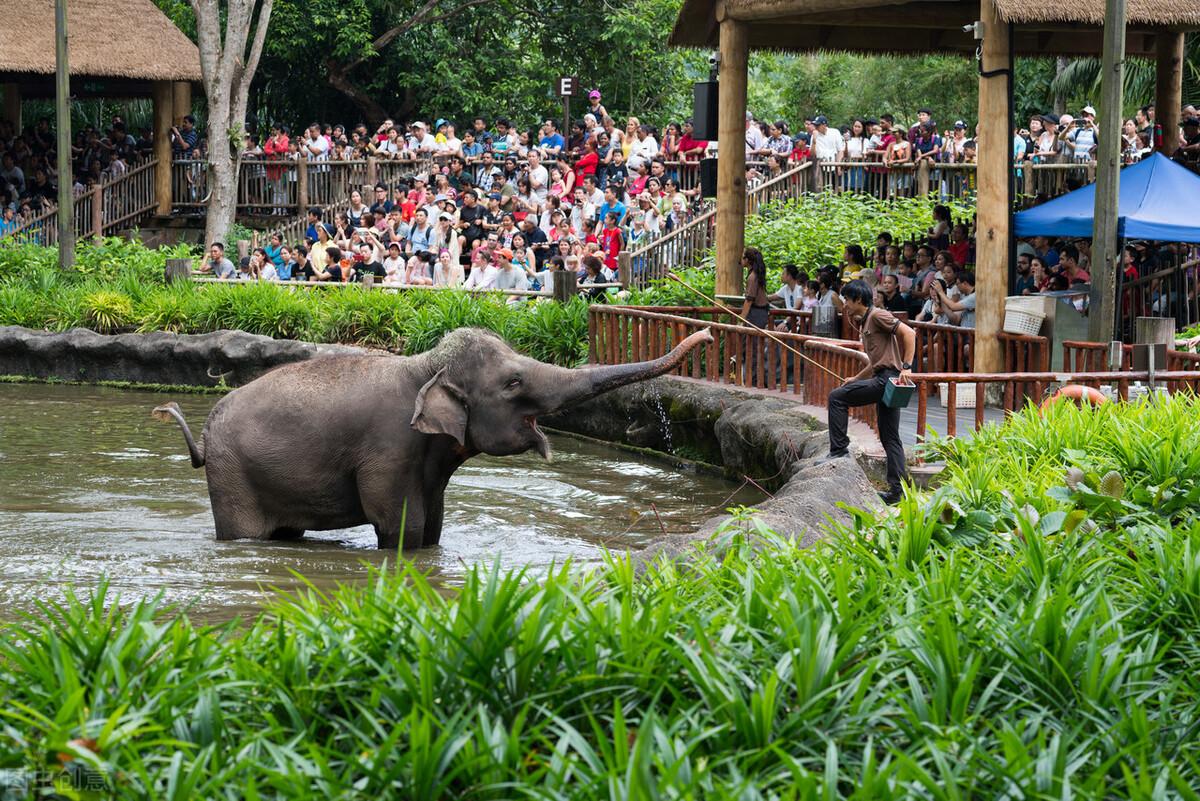 長隆動物園，自然與人類共融的奇妙世界，長隆動物園，自然與人類共融的樂園