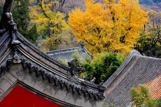 北京潭柘寺