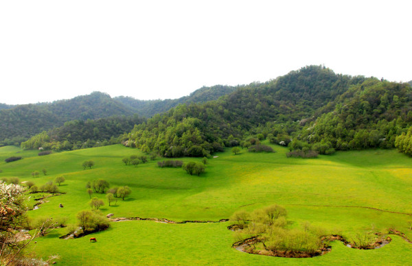 關山牧場天氣預報及其影響，關山牧場天氣預報與影響分析