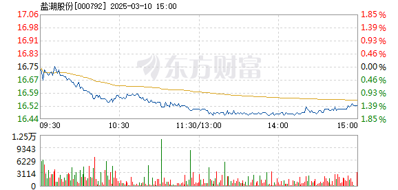 鹽湖股票行情深度解析，鹽湖股票行情全面解析與深度探討