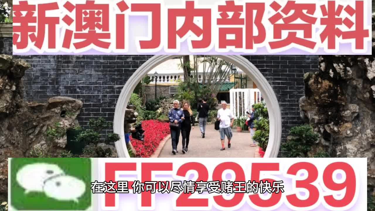 探索澳門未來，2025澳門精準(zhǔn)正版澳門碼的魅力與挑戰(zhàn)，澳門未來探索，精準(zhǔn)正版澳門碼的魅力與挑戰(zhàn) 2025展望